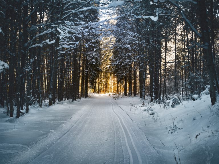 Hoe bereid je je goed voor op de winter?