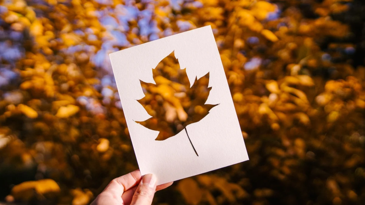 Een hand houdt een uitsnede van een blad tegen een achtergrond van levendige herfstbladeren, die de essentie van de herfst vastlegt.