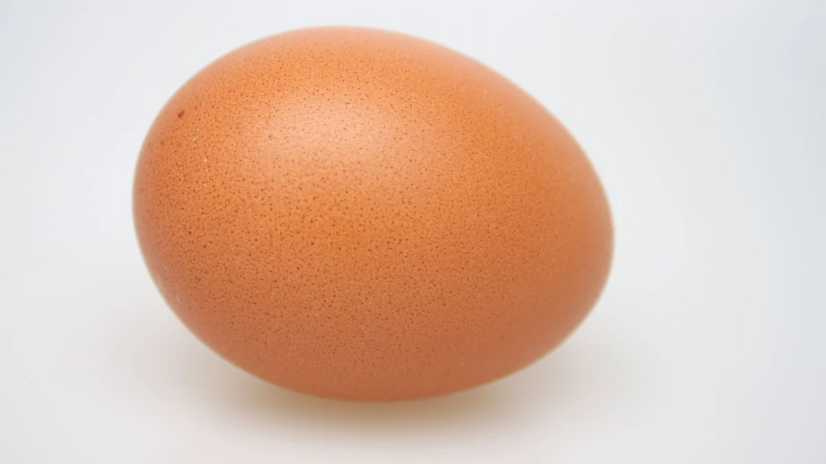 Een duidelijke close-up foto van een enkele bruine ei tegen een witte achtergrond.
