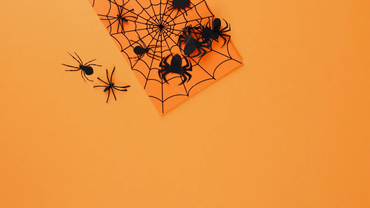 Creatieve Halloween spinnen en webdecoratie met voldoende oranje ruimte, perfect voor spooky thematische ontwerpen.