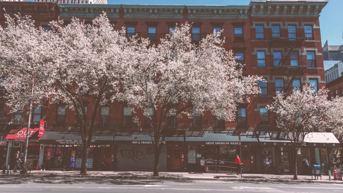 Charmante straat in New York City met bloeiende bomen en historische gebouwen in de lente.